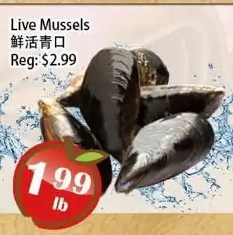 Food Depot Supermarket Live Mussels offer