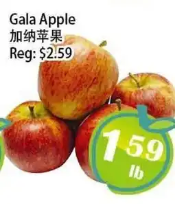 Food Depot Supermarket Gala Apple offer