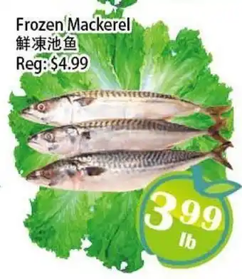 Food Depot Supermarket Frozen Mackerel offer