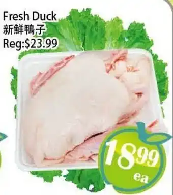 Food Depot Supermarket Fresh Duck offer