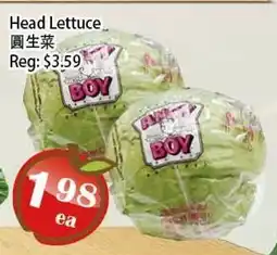 Food Depot Supermarket Head Lettuce offer
