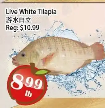 Food Depot Supermarket Live White Tilapia offer