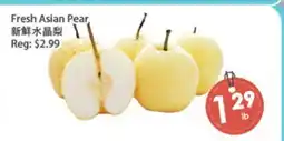 Fresh Palace Supermarket Fresh Asian Pear offer