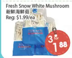Fresh Palace Supermarket Fresh Snow White Mushroom offer
