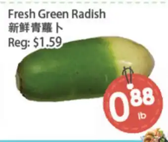 Fresh Palace Supermarket Fresh Green Radish offer