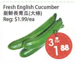 Fresh Palace Supermarket Fresh English Cucumber offer