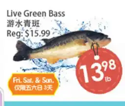 Fresh Palace Supermarket Live Green Bass offer