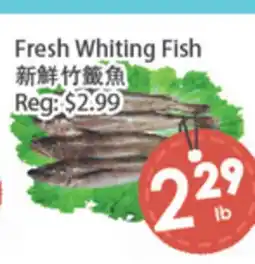 Fresh Palace Supermarket Fresh Whiting Fish offer