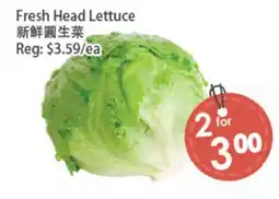 Fresh Palace Supermarket Fresh Head Lettuce offer
