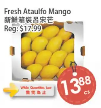 Fresh Palace Supermarket Fresh Ataulfo Mango offer