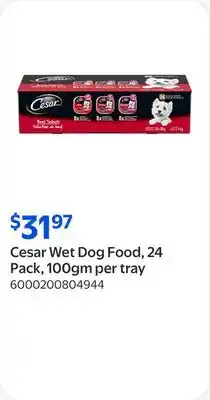 Walmart Cesar Wet Dog Food, 24 Pack, 100gm per tray offer