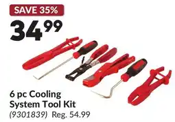 Princess Auto 6 pc Cooling System Tool Kit offer