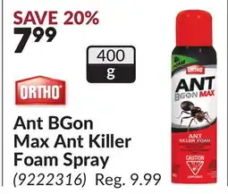 Princess Auto Ant BGon Max Ant Killer Foam Spray offer