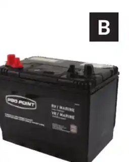 Princess Auto 12V Batteries, GC24RV Dual-Purpose RV/Marine offer
