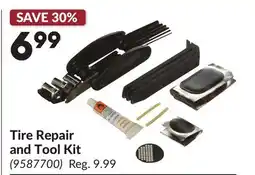 Princess Auto Tire Repair and Tool Kit offer