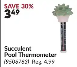 Princess Auto Succulent Pool Thermometer offer