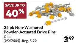Princess Auto 25 pk Non-Washed Powder-Actuated Drive Pins offer