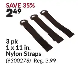 Princess Auto 3 pk 1 x 11 in. Nylon Straps offer