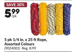 Princess Auto 5 pk 1/4 in. x 25 ft Rope, Assorted Colours offer