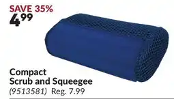 Princess Auto Compact Scrub and Squeegee offer