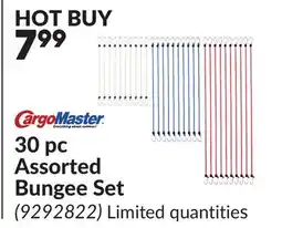 Princess Auto 30 pc Assorted Bungee Set offer