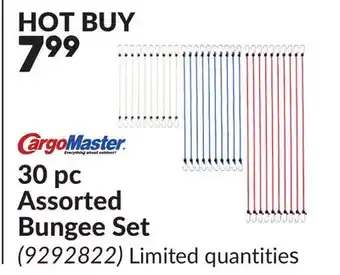 Princess Auto 30 pc Assorted Bungee Set offer