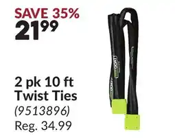 Princess Auto 2 pk 10 ft Twist Ties offer