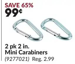 Princess Auto 2 pk 2 in. Mini Carabiners offer