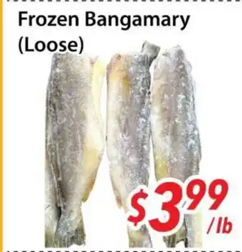Bestco Food Mart Frozen Bangamary (Loose) offer