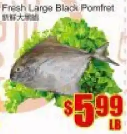 Fu Yao Supermarket Fresh Large Black Pomfret offer