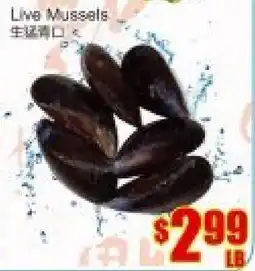 Fu Yao Supermarket Live Mussels offer