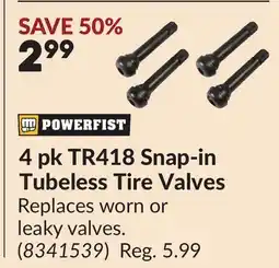 Princess Auto 4 pk TR418 Snap-in Tubeless Tire Valves offer