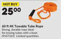 Princess Auto 60 ft 4K Towable Tube Rope offer