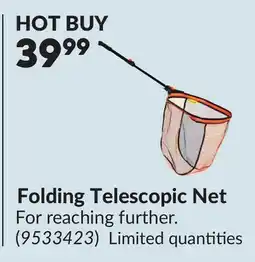 Princess Auto Folding Telescopic Net offer