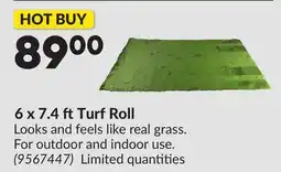 Princess Auto 6 x 7.4 ft Turf Roll offer
