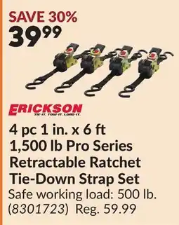 Princess Auto ERICKSON 4 pc 1 in. x 6 ft 1,500 lb Pro Series Retractable Ratchet Tie-Down Strap Set offer