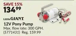 Princess Auto 12V Pony Pump offer