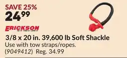 Princess Auto ERICKSON 3/8 x 20 in. 39,600 lb Soft Shackle offer