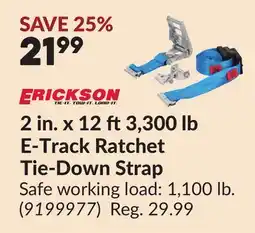 Princess Auto 2 in. x 12 ft 3,300 lb E-Track Ratchet Tie-Down Strap offer