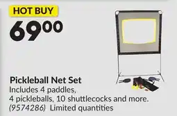 Princess Auto Pickleball Net Set offer