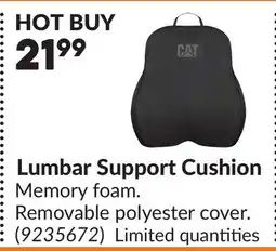 Princess Auto Lumbar Support Cushion offer
