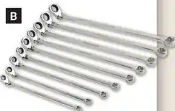 Princess Auto Extra-Long Combination Flex Wrench Sets offer