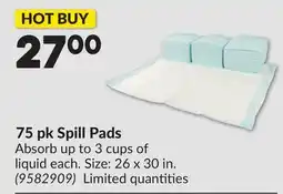 Princess Auto 75 pk Spill Pads offer