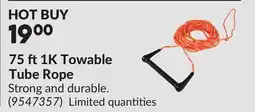 Princess Auto 75 ft 1K Towable Tube Rope offer