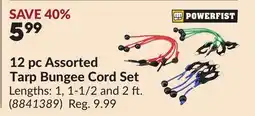 Princess Auto 12 pc Assorted Tarp Bungee Cord Set offer
