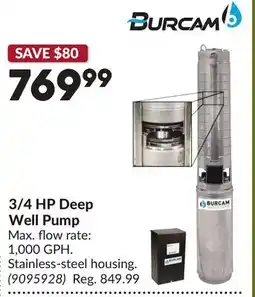 Princess Auto 3/4 HP Deep Well Pump offer