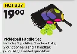 Princess Auto Pickleball Paddle Set offer