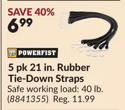 Princess Auto 5 pk 21 in. Rubber Tie-Down Straps offer