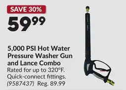 Princess Auto 5,000 PSI Hot Water Pressure Washer Gun and Lance Combo offer