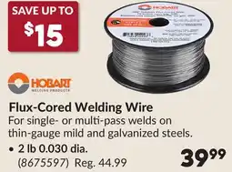 Princess Auto Flux-Cored Welding Wire offer